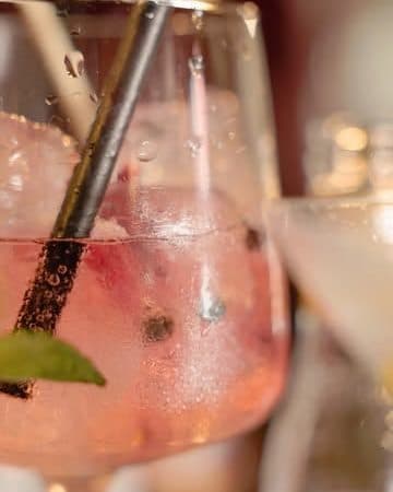 Gin tonic servido en la barra de Tierra de Fuegos